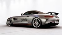 Mercedes AMG GT-R Stncffct (1)